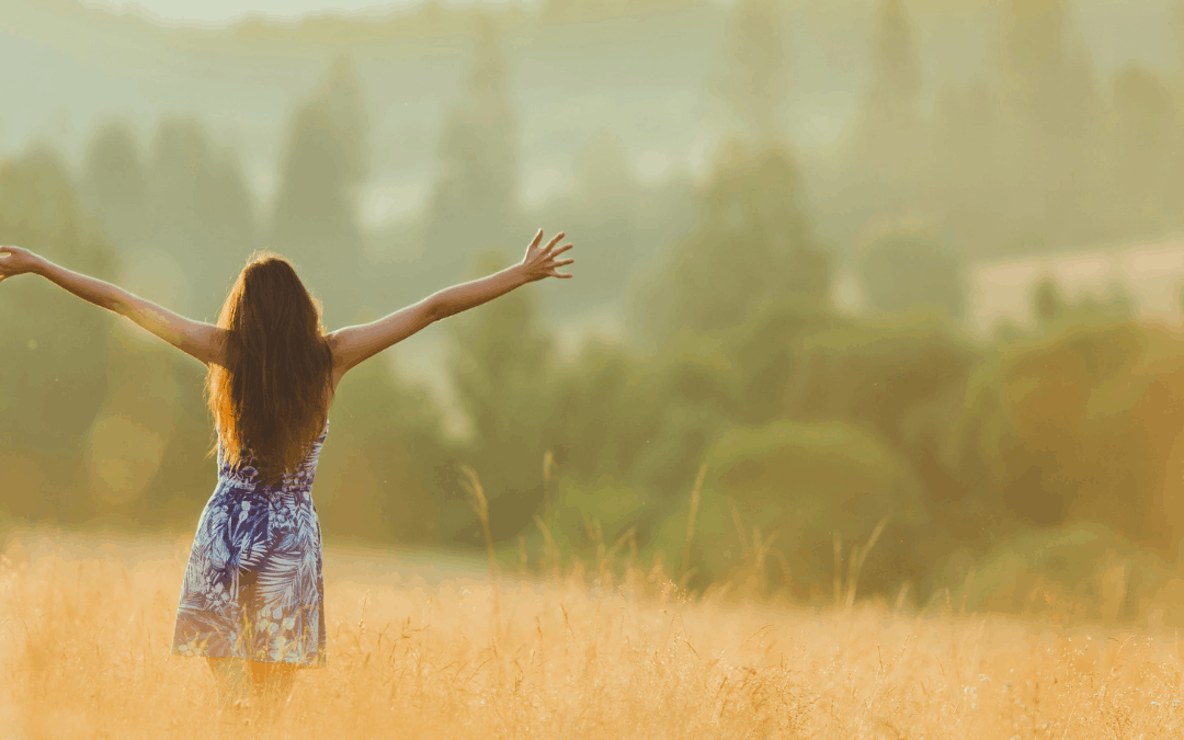 Live Your Dream in Cobblestone Meadows